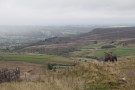 Giant Bike and Nidderdale, Viewed from The Coldstones Cut